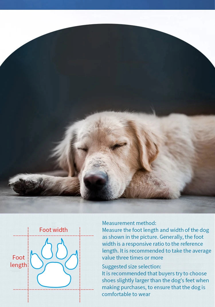 Vattentäta hundskor – 4-pack