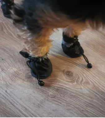 Vattentäta hundskor – 4-pack