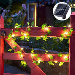 IvyLjusSol™ – 50/100 LED Solcellslinga för Trädgård