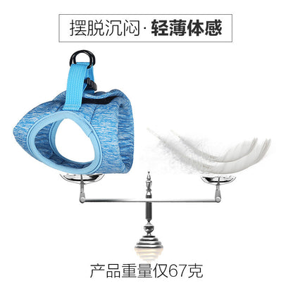 Cat Harness &amp; Leash™ – Ulkoilun turvallisuutta kissoille ja pennuille