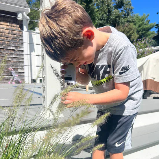 BÄRBART MIKROSKOP  - ETT PEDAGOGISKT ÄVENTYR - LED-MIKROSKOP