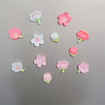 BlomMagnet™ – 12-pack Rosa Persikoblommor
