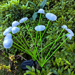 SvamplampaSol™ – Solcellslampa med 6 LED för Trädgård