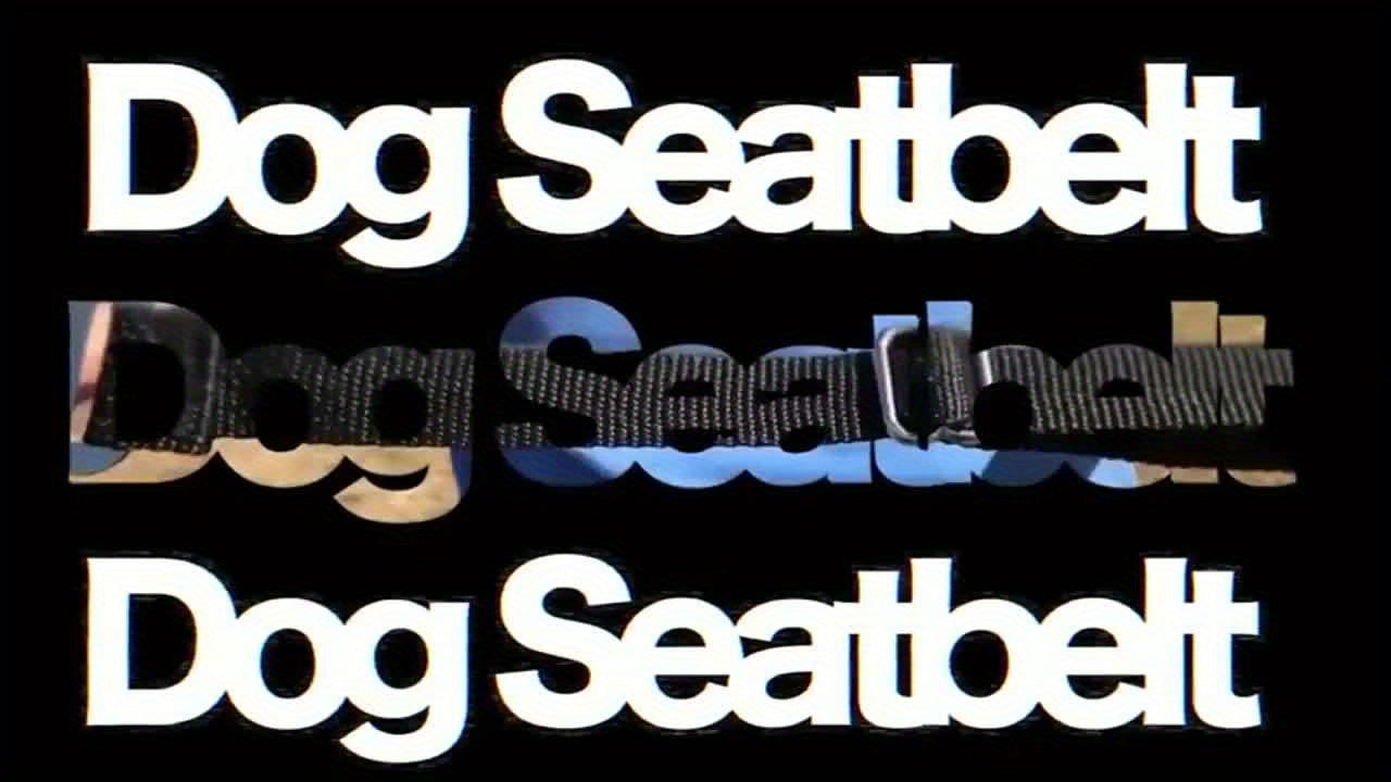 SafeRide™ – Säädettävät valjaat ja auton turvavyöt lemmikeille