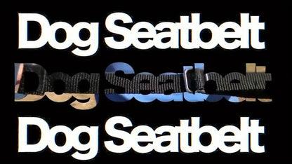 SafeRide™ – Säädettävät valjaat ja auton turvavyöt lemmikeille