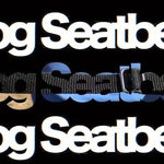 SafeRide™ – Justerbar Sele & Bilbälte för Husdjur