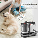 Rensy 750W Portabel Fläckborttagare