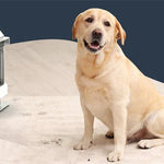 Rensy 750W Portabel Fläckborttagare