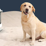 Bærbar teppe- og møbelrenser – 750 W