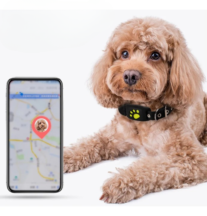 MiniTrack GPS för husdjur