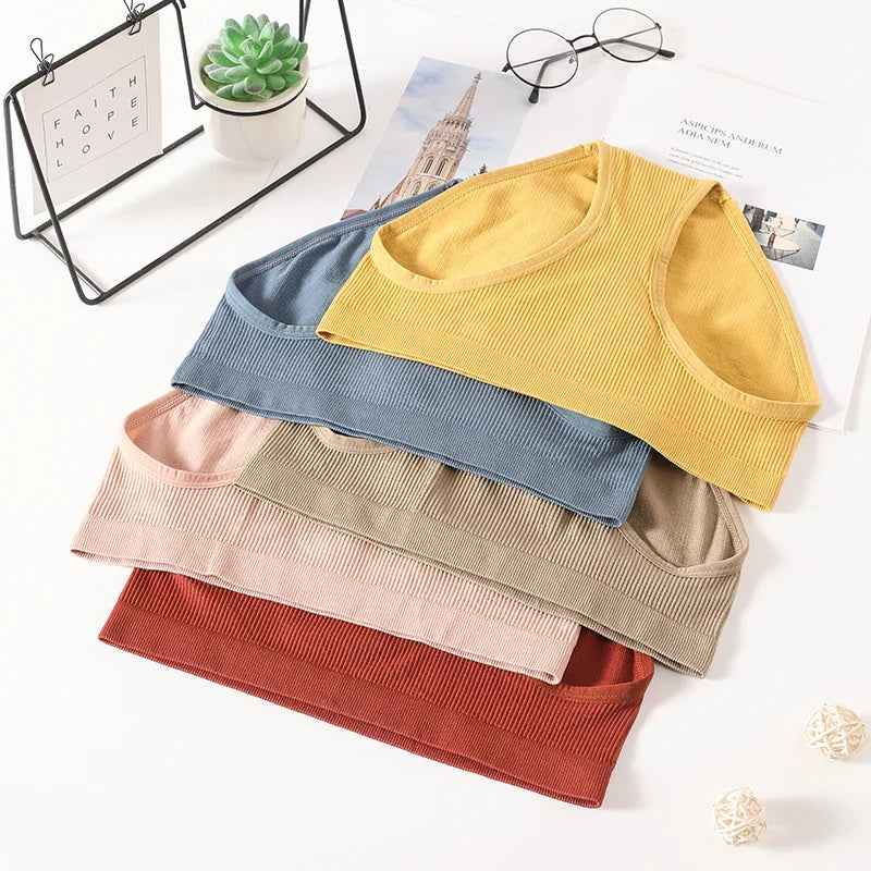 Trosor dam – sömlösa midjetrosor med full täckning, 2-pack