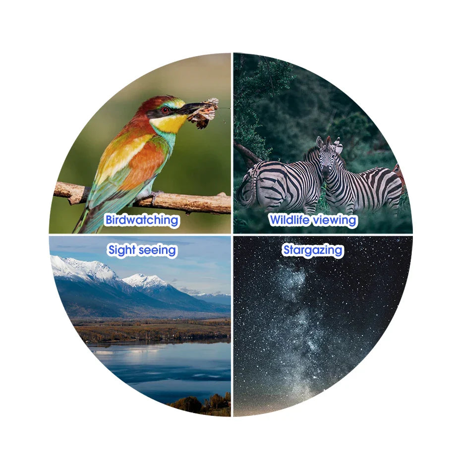 Kiikarit - ammattitason lintubongauskiikarit 8x32/8x42/10x42 IPX7 vedenpitävät