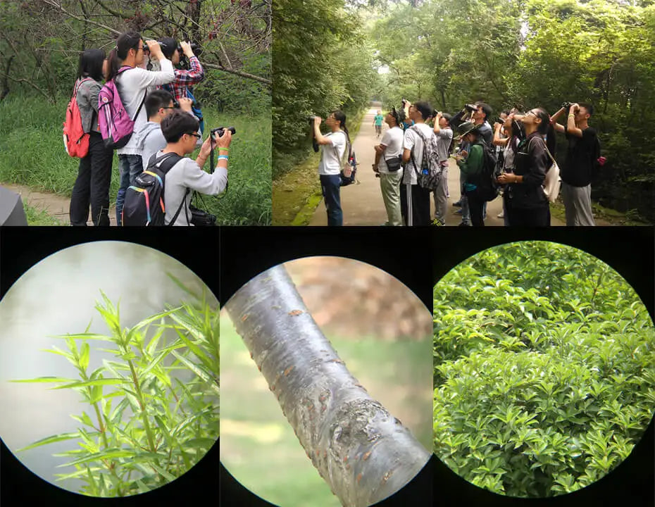 Kiikarit - ammattitason lintubongauskiikarit 8x32/8x42/10x42 IPX7 vedenpitävät