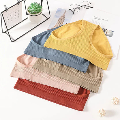 Trosor dam – sömlösa midjetrosor med full täckning, 2-pack