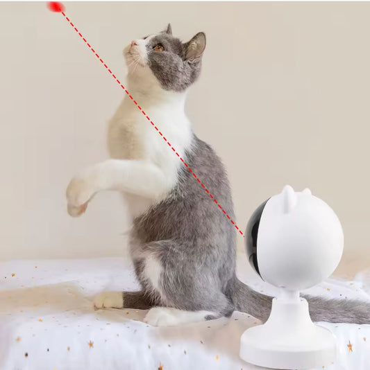 LaserLeken™ - USB-Uppladdningsbar Laserleksak för Katter