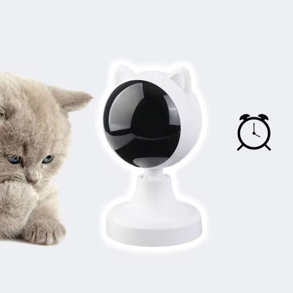 LaserLeken™ - USB-Uppladdningsbar Laserleksak för Katter