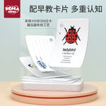 Äventyrsset för Barn – Insektslåda & Campingkit för Lek & Lärande