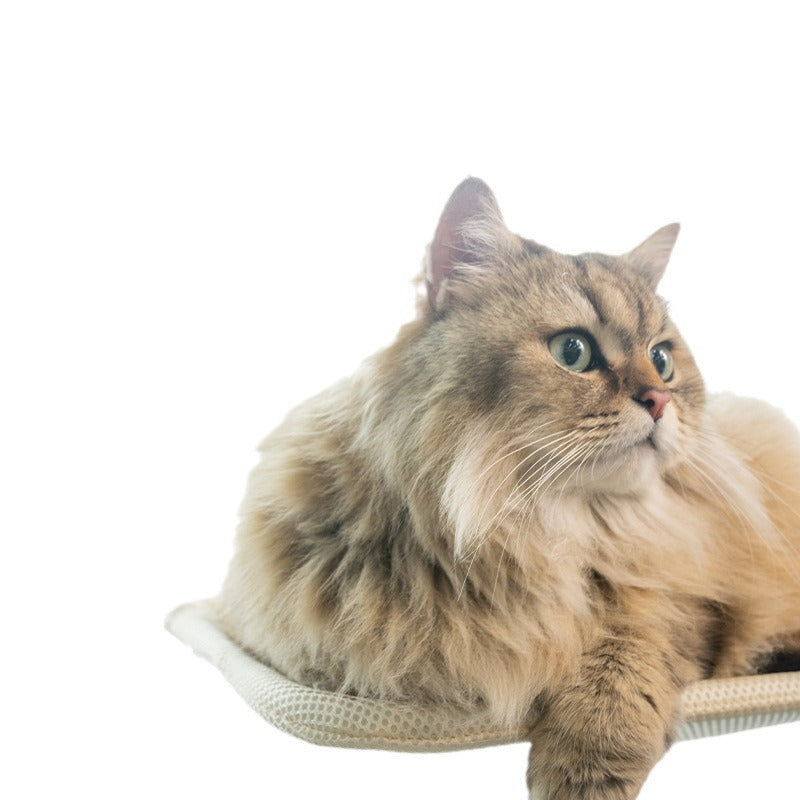 Fönsterhängande Kattmatta™ – Solsäng och Bädd för Katter