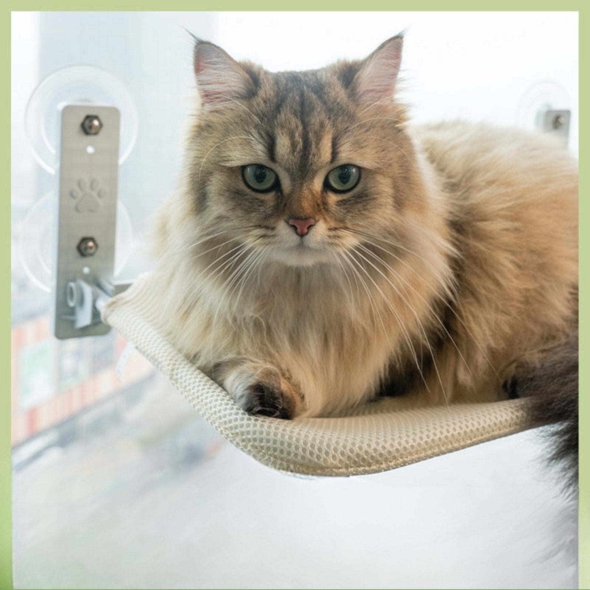 Fönsterhängande Kattmatta™ – Solsäng och Bädd för Katter