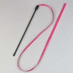 Färgglad Kattleksak™ – Dubbelsträngad Färgsticka för Katter