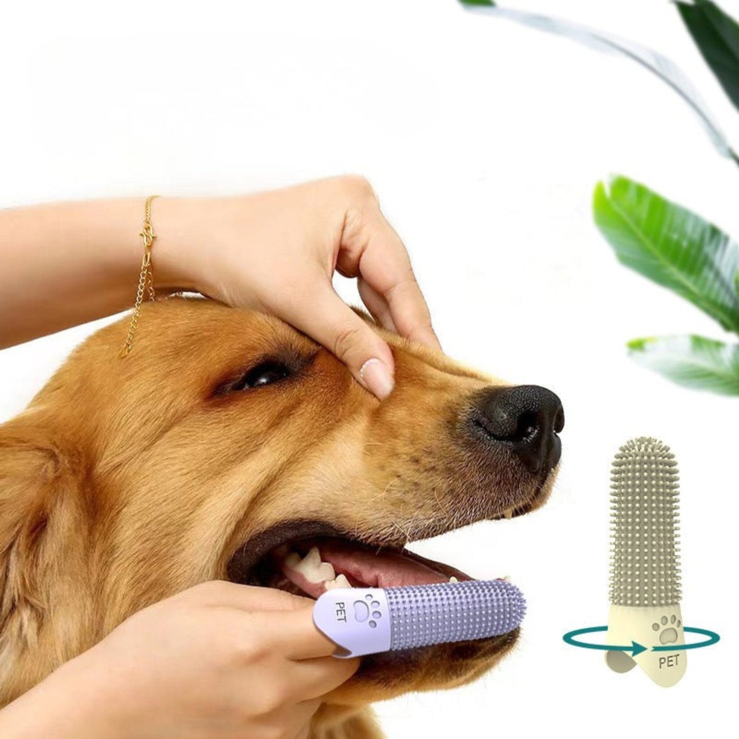 PetToothbrush™ – Silikoninen sormiharja lemmikeille