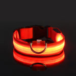 LysTass™ - LED Lysande Hundhalsband & Koppel