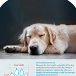 Vattentäta hundskor – 4-pack