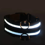 LysTass™ - LED Lysande Hundhalsband & Koppel