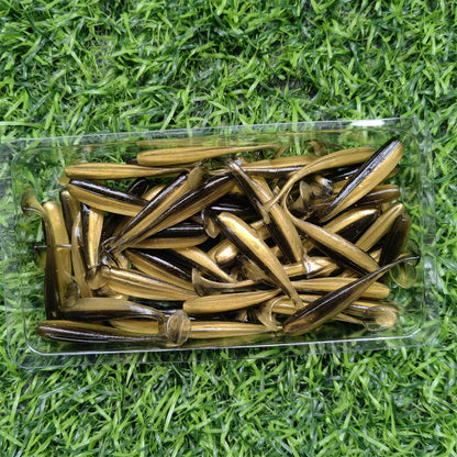 Mikro beten – 50 st mjuka jiggar för abborre & gädda