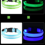 LysTass™ - LED Lysande Hundhalsband & Koppel