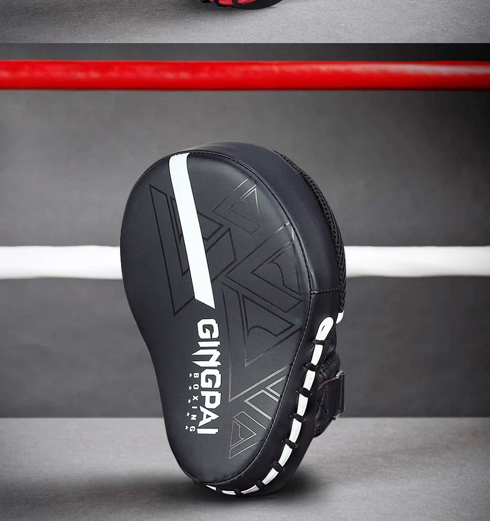 Slagkuddar boxning & sparring