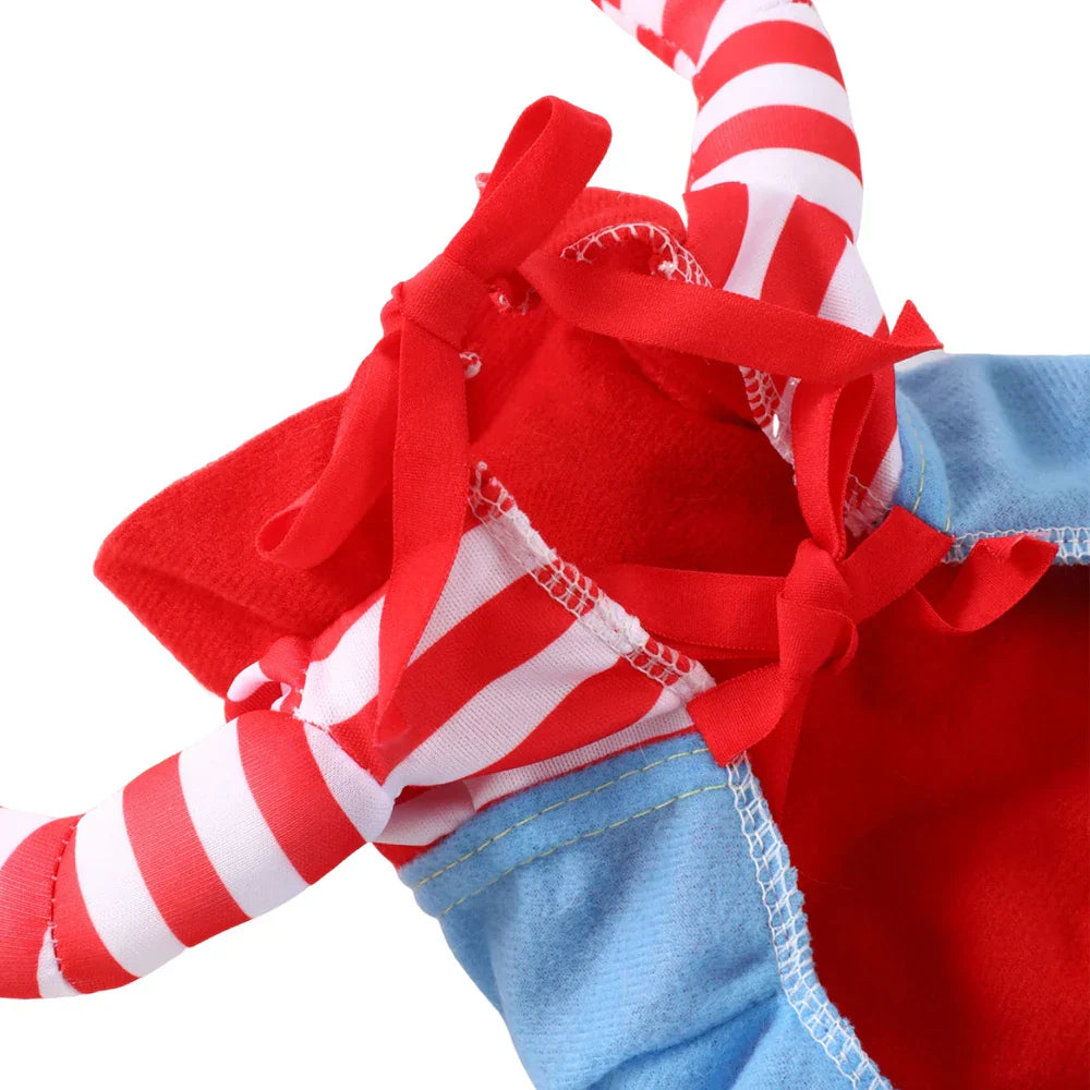 Halloween hundkostym –  Chucky Rolig dräkt för små & stora hundar