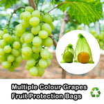 Skyddspåsar för frukt & bär – 10–200 st nätpåsar mot fåglar & insekter