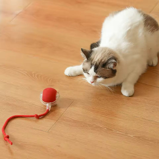 Jaktis – Kattleksaken Som Väcker Liv i Varje Katt