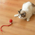 Jaktis – Kattleksaken Som Väcker Liv i Varje Katt