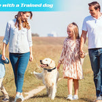 Koiran koulutuspanta 800 m – vedenpitävä isku- ja tärinäpanta