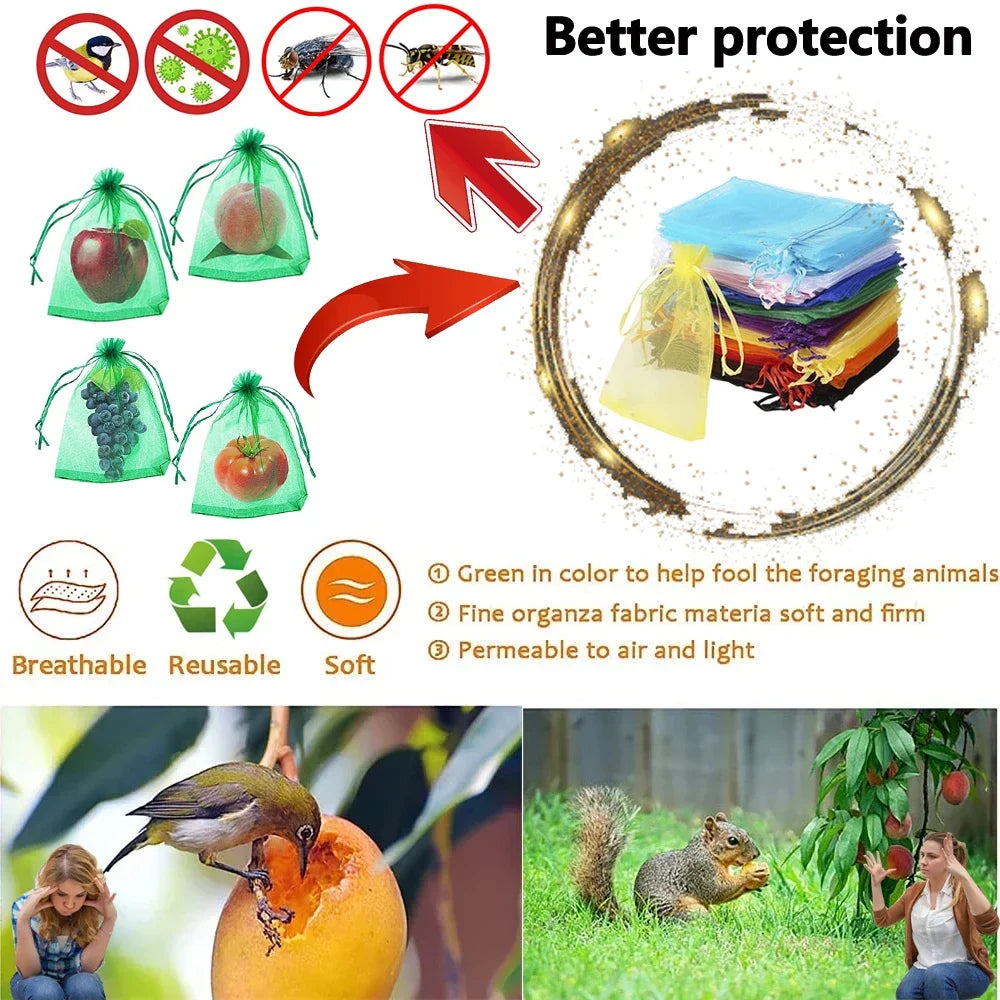 Skyddspåsar för frukt & bär – 10–200 st nätpåsar mot fåglar & insekter
