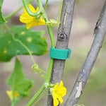 Justerbara växtband med kardborre – 5–120 m återanvändbara växtstöd