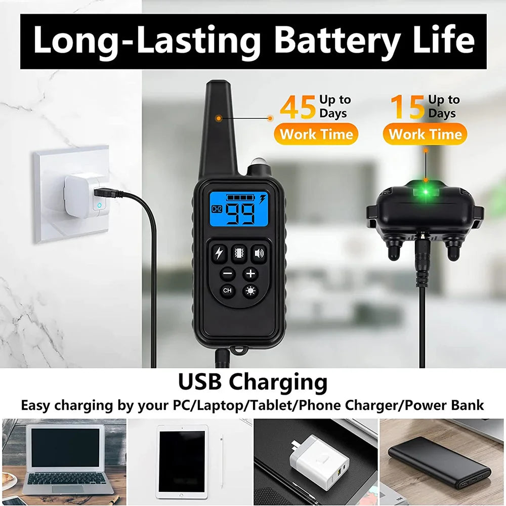 Koiran koulutuspanta 800 m – vedenpitävä isku- ja tärinäpanta