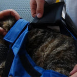 Kattväska med sele – bärbar transportväska för veterinär & resa