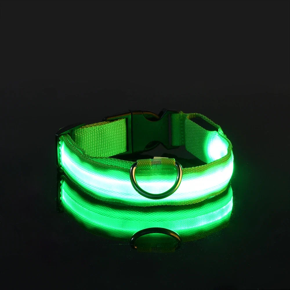 LysTass™ - LED Lysande Hundhalsband & Koppel