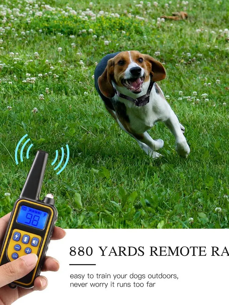 Hundträningshalsband 800 m – vattentätt stöt- & vibrationshalsband