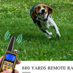 Koiran koulutuspanta 800 m – vedenpitävä isku- ja tärinäpanta