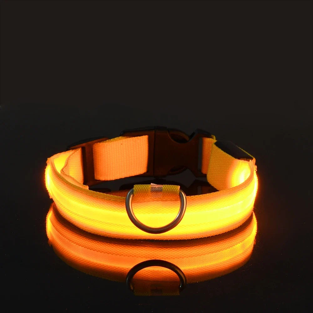 LysTass™ - LED Lysande Hundhalsband & Koppel