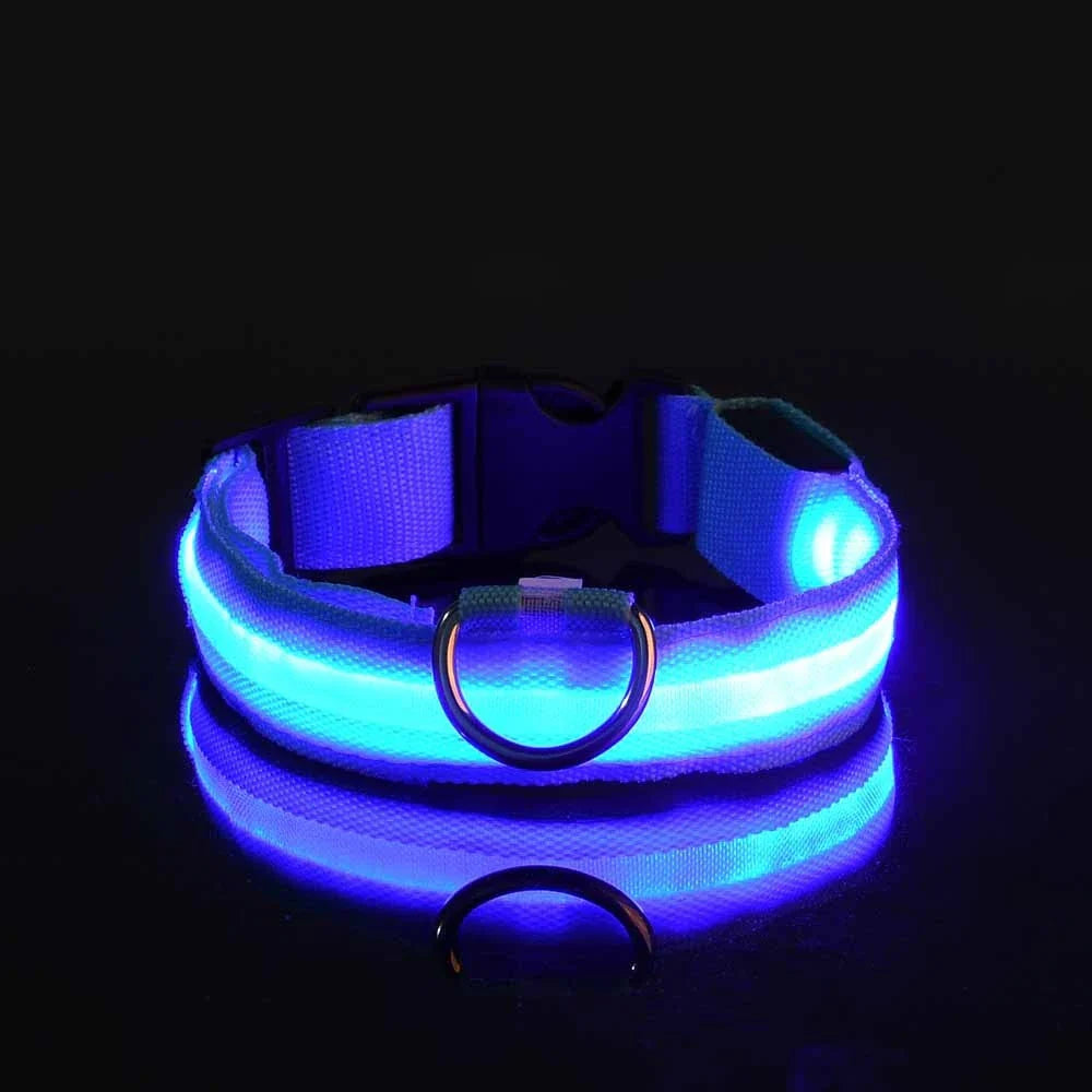 LysTass™ - LED Lysande Hundhalsband & Koppel