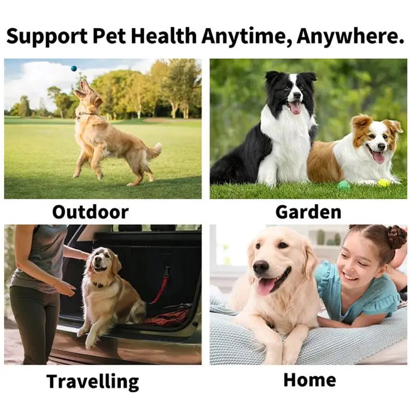 FreshWipe Kit - Skyddar mot tandproblem