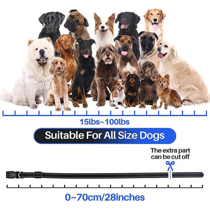 Hundträningshalsband 800 m – vattentätt stöt- & vibrationshalsband