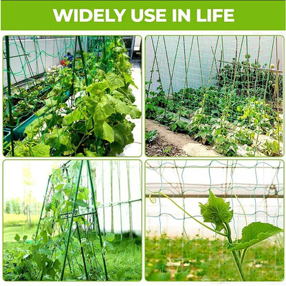 Klätternät för Växter