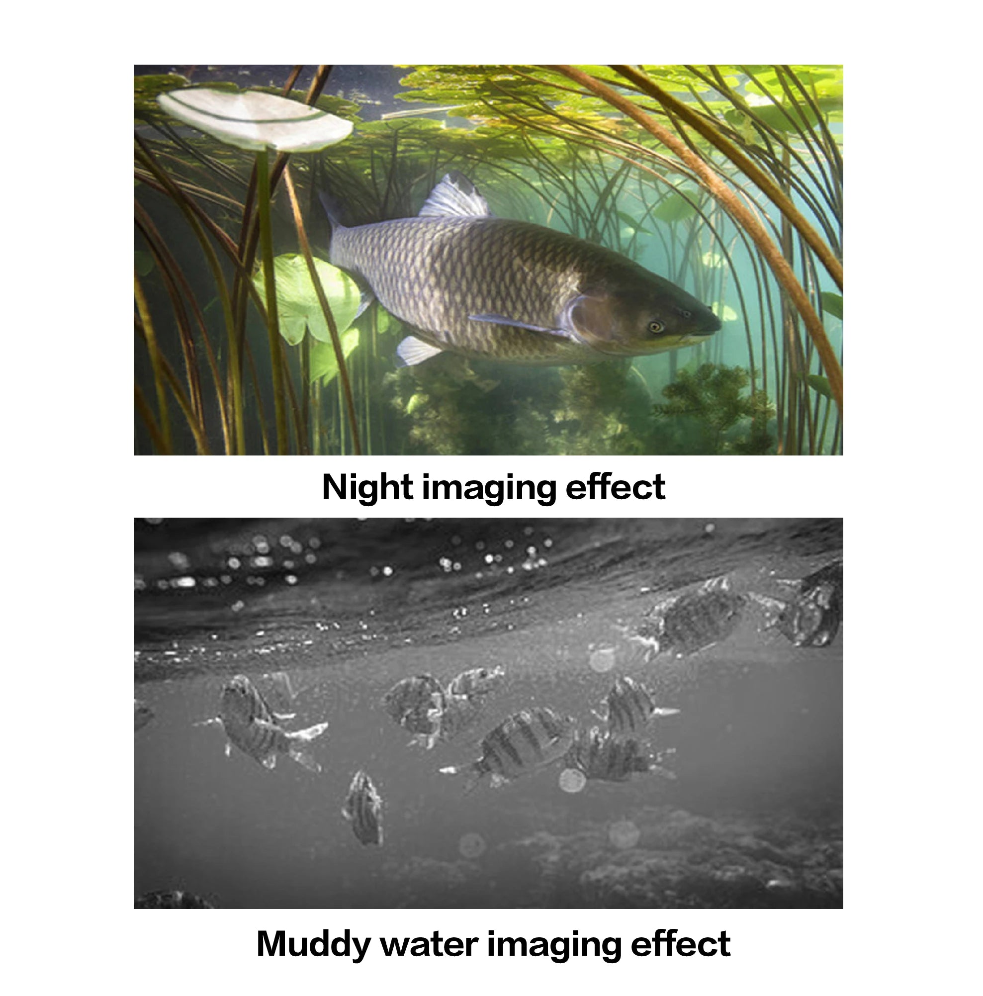 Fiskekamera med 30 meter kabel!