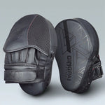 Slagkuddar boxning & sparring